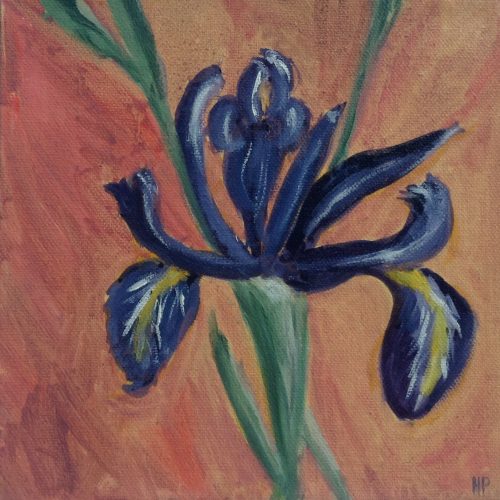 Iris 20 x 20 cm