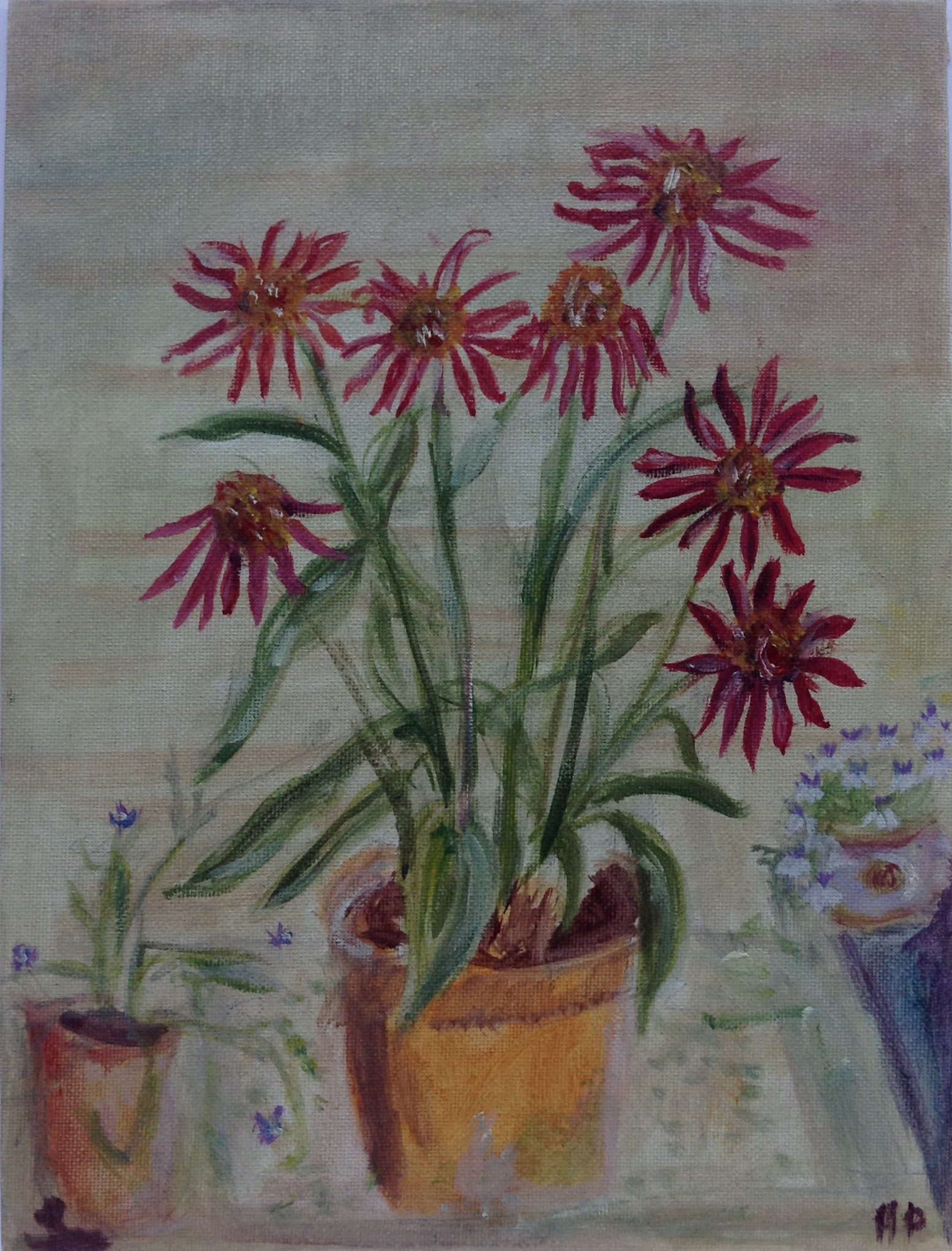 pot with flowers 28 x 35 cm